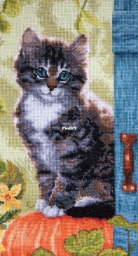 Vervaco PN-0158303 - Secret Stitch-Along 2017 - Cat and Pumpkin