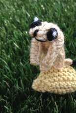 Meerkat
