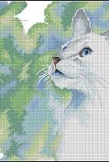 RTO M553 Feline Grace XSD