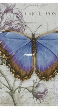 Chimera - Butterfly Vintage 2 by Jane Shasky PCS