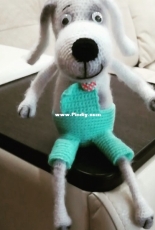 dog in pants