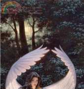 HAED HAEJEB 691 Beckon by Jonathon Earl Bowser