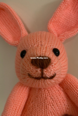 Rabbit - Lorraine Pistorio
