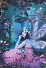 HAED HAEKAA 19330 - Butterfly Pink by Kathey Amaral