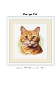 Banani Stitchery - Orange Cat by Anna Banani XSD