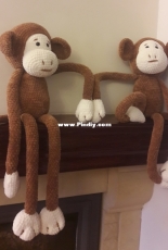 Twins monkeys