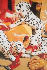 Dalmatias