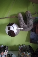Sloth