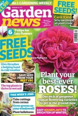 Garden News - November 11, 2017