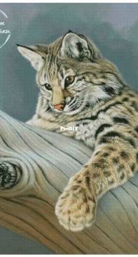 Yariskins Polychrome-Lynx on a tree by Irina Yakovleva
