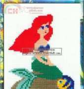 Riolis 142 - ariel