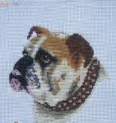 Jill Oxton Bulldog