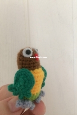 parrot