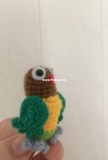 parrot