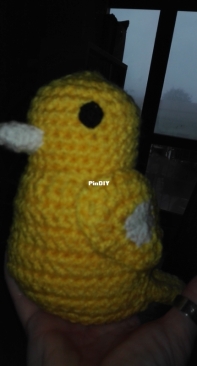 Yellow canary
