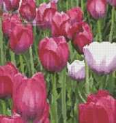 Artecy Cross Stitch - Tulips Photo