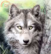 HAED HAEKAH 136 - Forest Watch