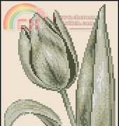 Zolotoe Runo PX-001 Tulip