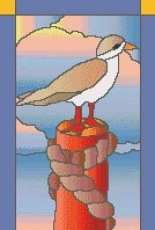 Sandra Magazine - Seagull