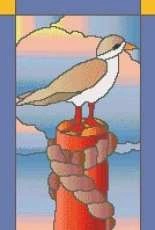 Sandra Magazine - Seagull