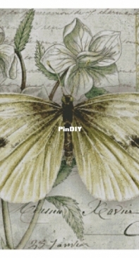 Chimera - Butterfly Vintage 6 by Jane Shasky PCS