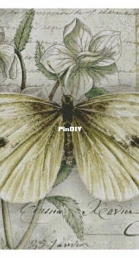 Chimera - Butterfly Vintage 6 by Jane Shasky PCS