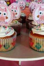 Owl Cupcakes