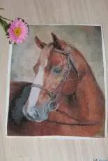 Horse - finish