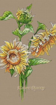 Sunflowers by Maria Brovko