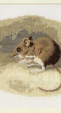 Common Woodmouse by Jill Oxton from Jill Oxtons Cross Stitch and Beading 60 PCS