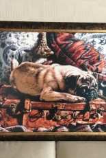 Thomas Rivers Lovelace Pug on Suitcase