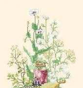 Lanarte 33647 herbs