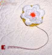 Joanne Pietzak - Tape Measure Cover