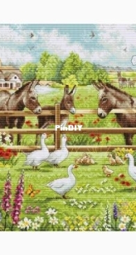 Luca-S -Donkeys' Yard