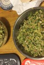 homemade dumplings