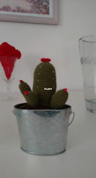 Crocheted cactus