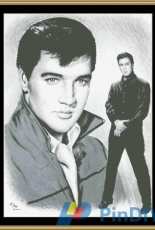 Elvis Presley - Roustabout       by: Mystic Stitch