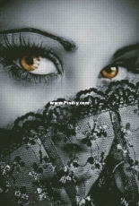 Chimera - Mysterious Look