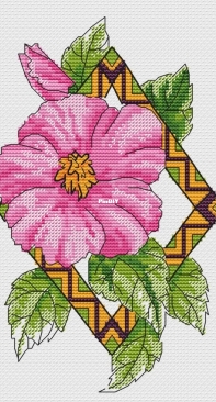 Syrian rose by Varvara Lesnaya