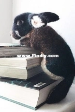 Black Otter Rex Rabbit - Claire Garland