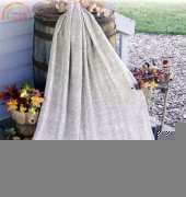 Ringlet Stitch Afghan by Kennita Tully -  Free