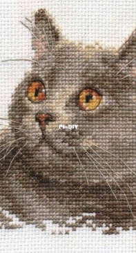 Alisa 0-134 - British Cat XSD