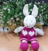 My lovely rabbit