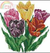 Svarta Faret BS1377