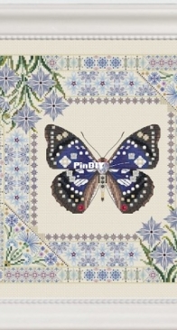 Cornflowers and Sasakia charonda by Totoo Stitch