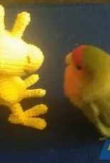 Little Woodstock