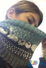 Deb Jacullo-Ill Pack A Cowl for Rhinebeck by Deb Jacullo-Free