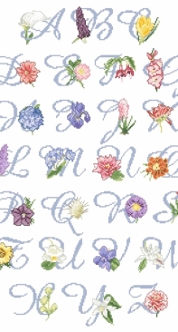Orbis Pictura - Floral Alphabet XSD