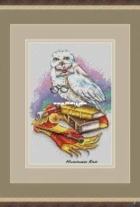 Hedwig by Jane Eyre - Minasyan Yana
