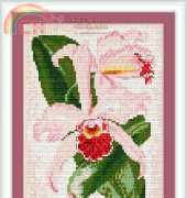 Megat 4089 Orchid - pink charm